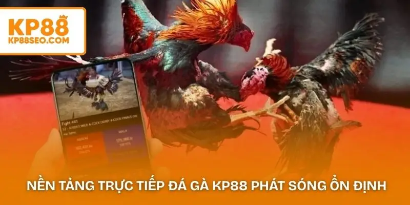 Nền tảng trực tiếp đá gà KP88 phát sóng ổn định