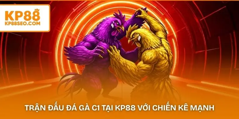 Trận đấu đá gà C1 tại KP88 với chiến kê mạnh